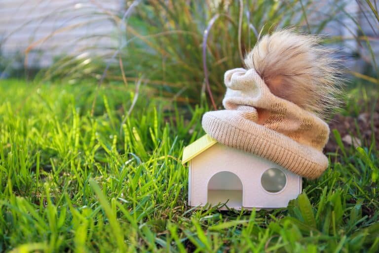 How Can I Plan My Estate to Protect A Beneficiary with a Disability?